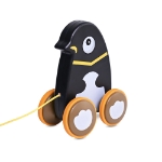 Pull-Along Toy